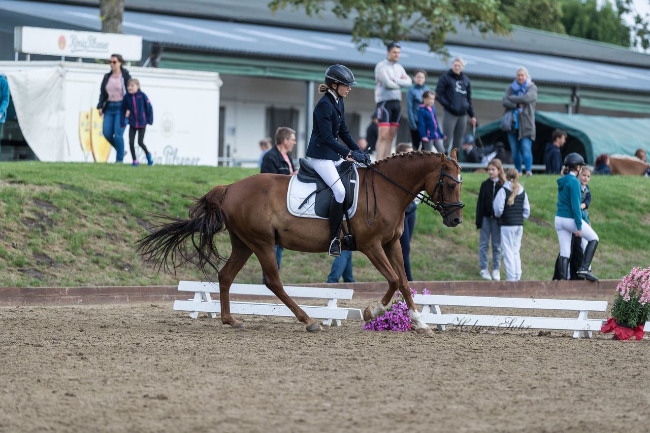 Bild 346 - Pony Akademie Turnier